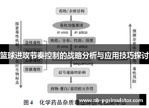 篮球进攻节奏控制的战略分析与应用技巧探讨