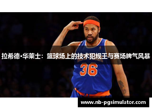 拉希德·华莱士：篮球场上的技术犯规王与赛场脾气风暴