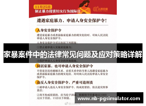 家暴案件中的法律常见问题及应对策略详解