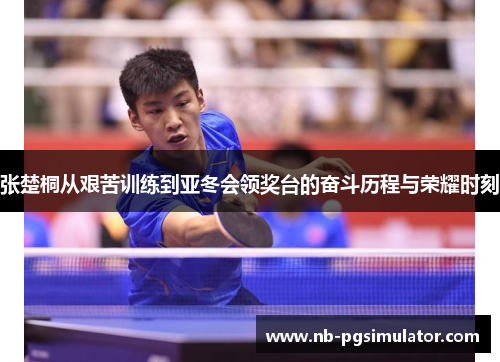 张楚桐从艰苦训练到亚冬会领奖台的奋斗历程与荣耀时刻