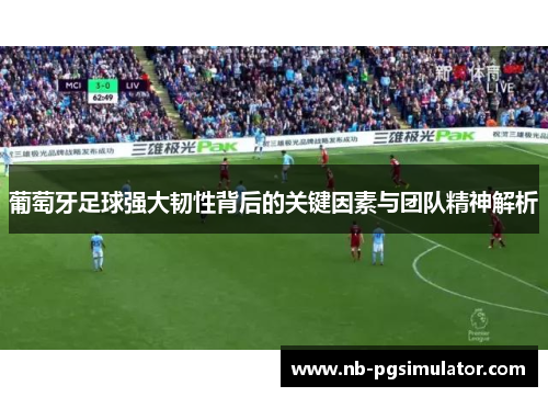 葡萄牙足球强大韧性背后的关键因素与团队精神解析